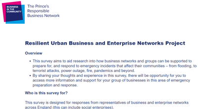 Resilient Urban Business and Enterprise Networks Project Survey